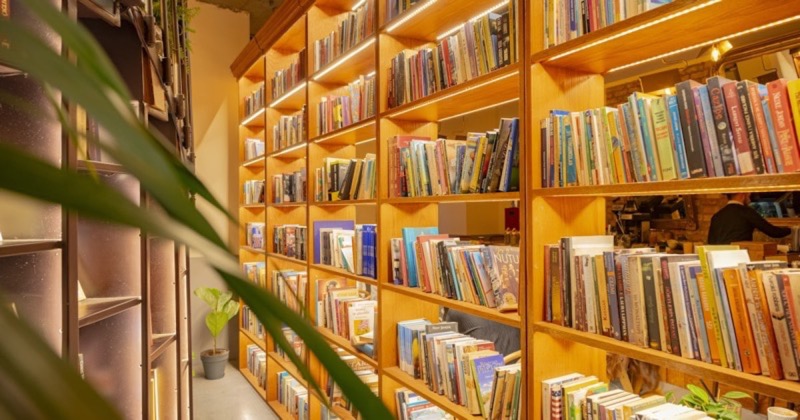 Wall of warm-lit wooden bookshelves lined with colorful books and a small potted plant