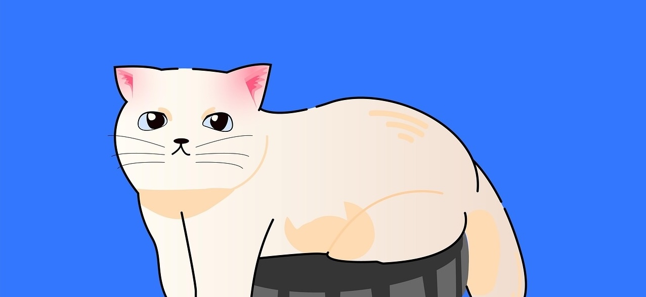 Cute cat resting on a comfortable platform, representing how introverts need proper recharge time and comfortable environments to restore their social battery